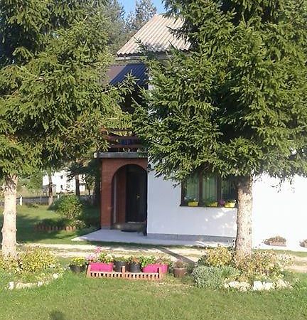 Rooms Danica Donji Babin Potok Kültér fotó
