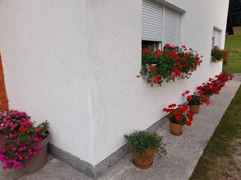 Rooms Danica Donji Babin Potok Kültér fotó