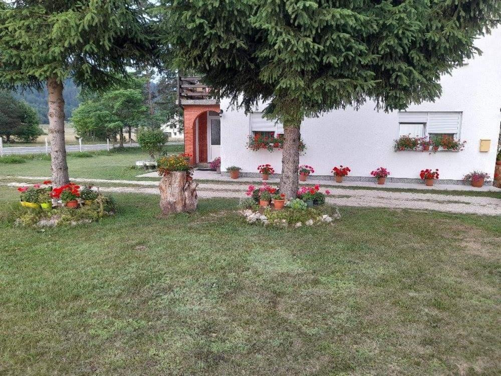 Rooms Danica Donji Babin Potok Kültér fotó