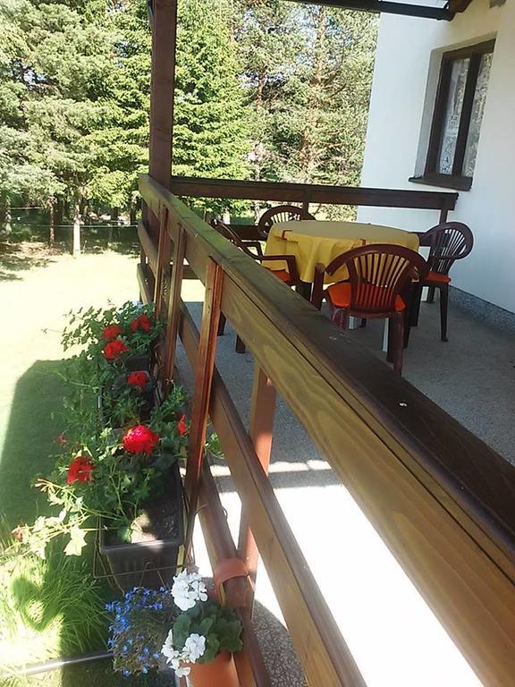 Rooms Danica Donji Babin Potok Kültér fotó
