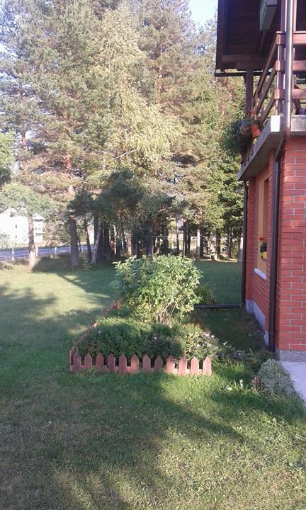 Rooms Danica Donji Babin Potok Kültér fotó