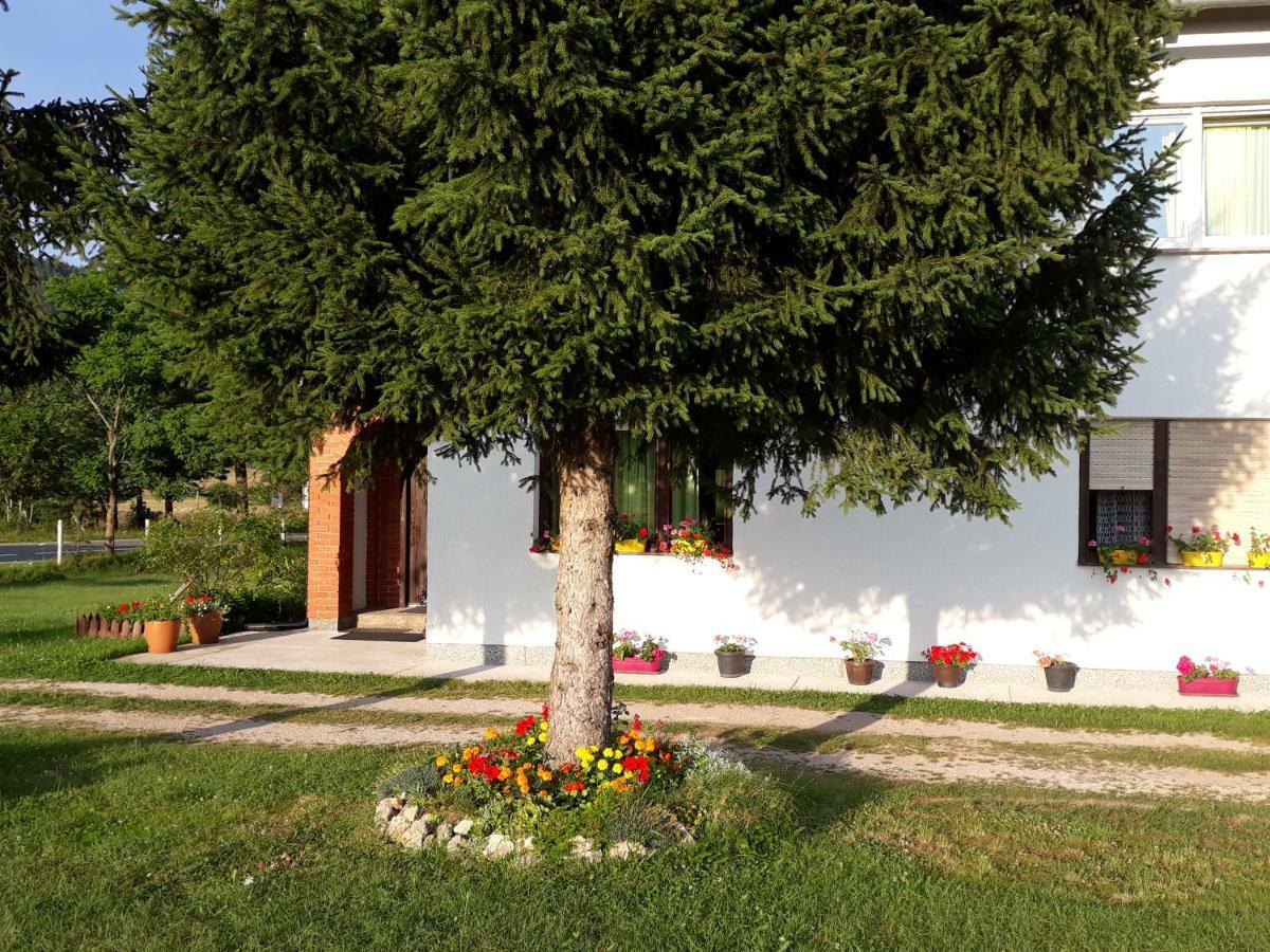 Rooms Danica Donji Babin Potok Kültér fotó